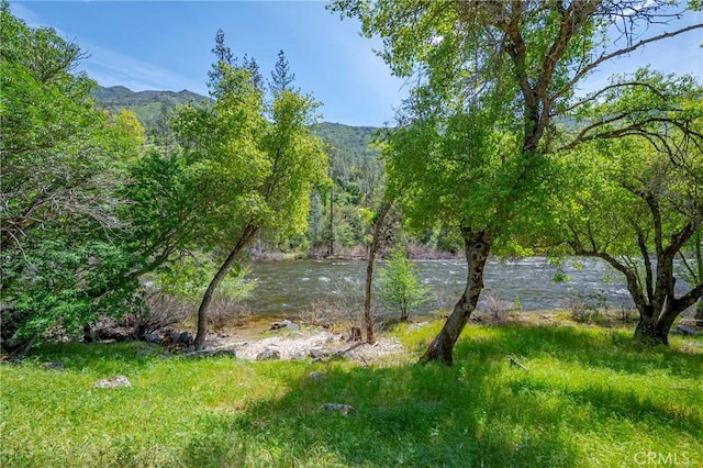 view of water feature featuring a view of trees and a mountain view