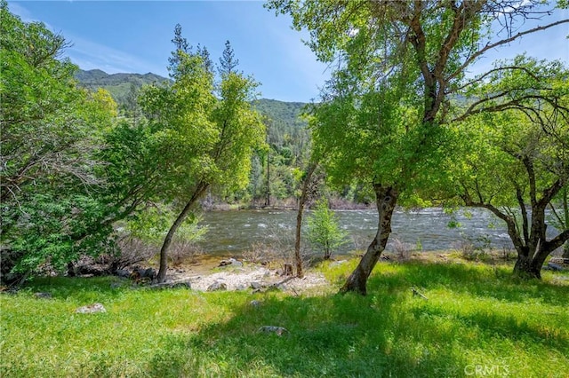 9977 Incline Rd, El Portal, CA 95318 - photo 44