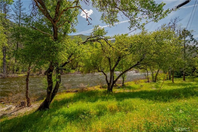 view of landscape featuring a water view