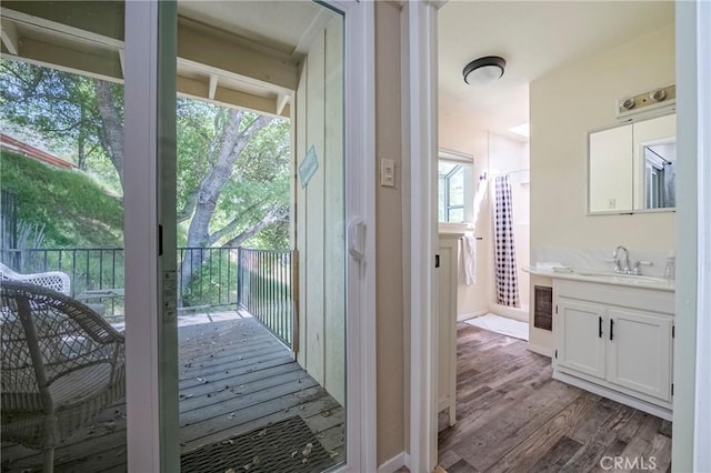 entryway featuring a sink and dark wood-style flooring