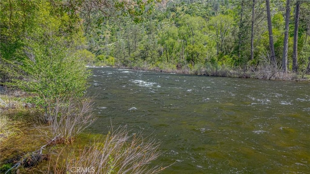 view of water feature with a wooded view