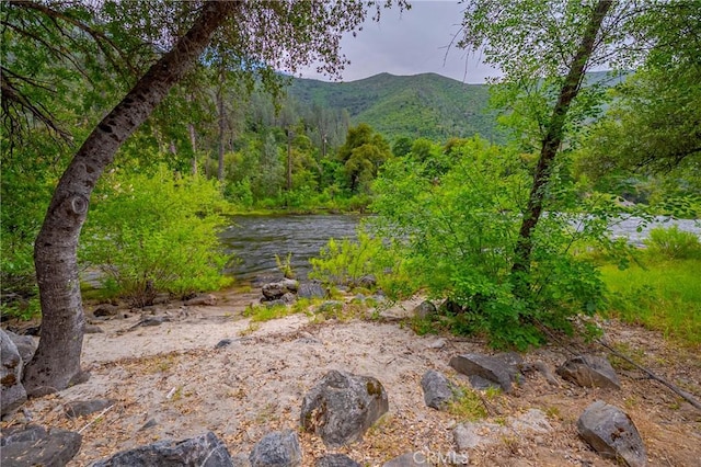 9977 Incline Rd, El Portal, CA 95318 - photo 3