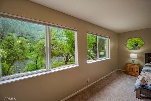 9977 Incline Rd, El Portal, CA 95318 - photo 18