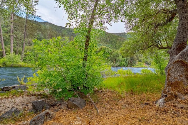 9977 Incline Rd, El Portal, CA 95318 - photo 6