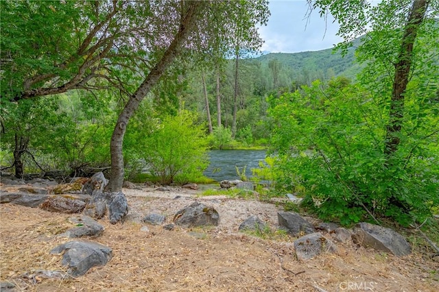 9977 Incline Rd, El Portal, CA 95318 - photo 1
