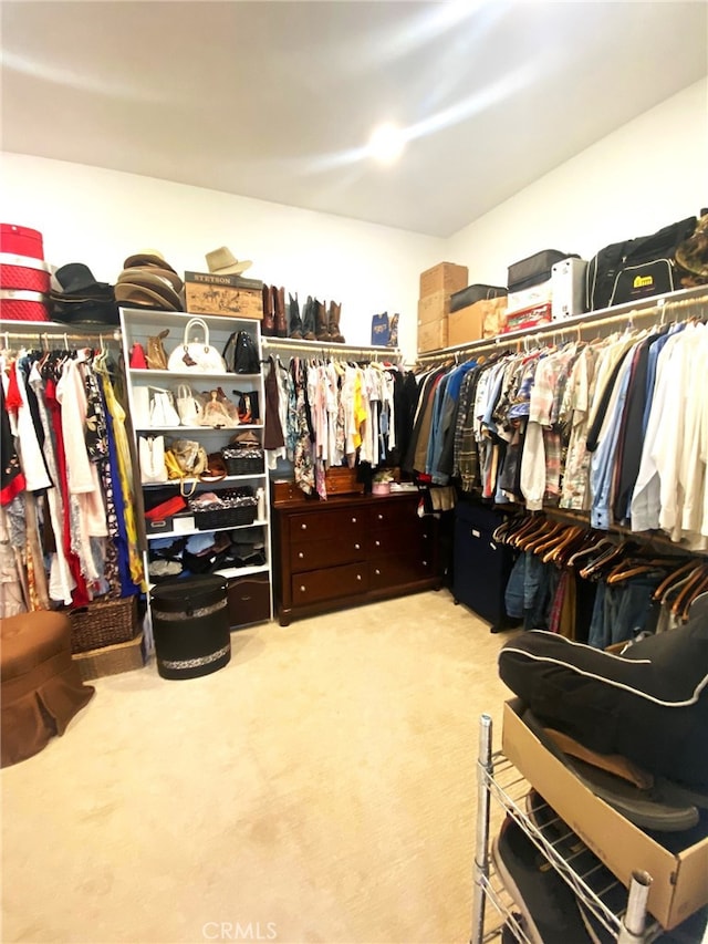 walk in closet with carpet floors