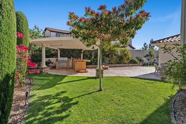 view of yard with a fenced backyard, a pergola, area for grilling, and a patio