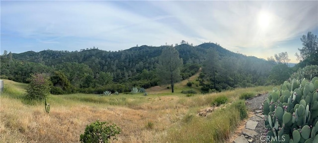 property view of mountains featuring a forest view