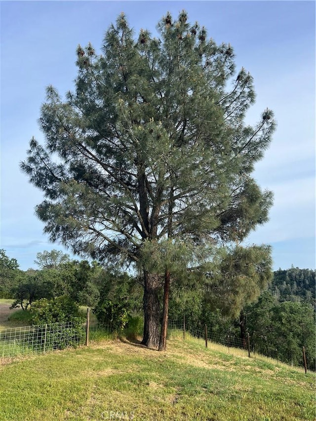 view of landscape featuring a view of trees