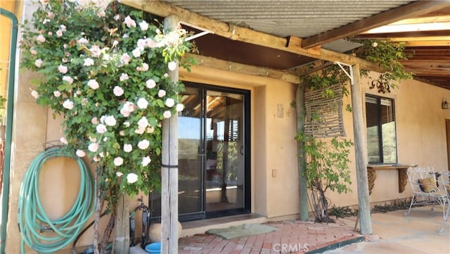 view of exterior entry featuring stucco siding and a patio area