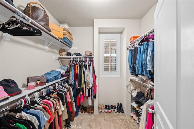 walk in closet featuring carpet flooring