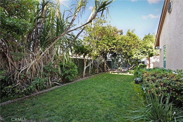 view of grassy yard
