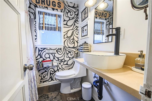 bathroom with a sink, toilet, and wood finished floors