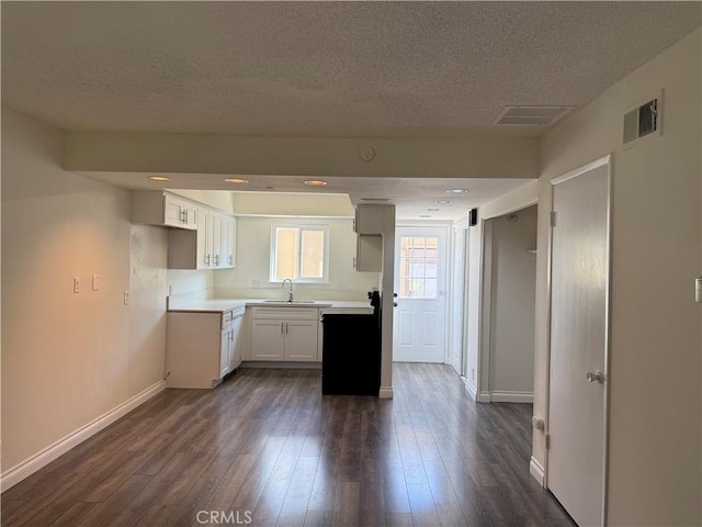 kitchen with visible vents, a sink, baseboards, and dark wood-type flooring