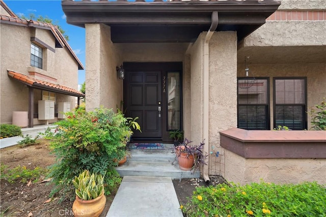 view of exterior entry with stucco siding