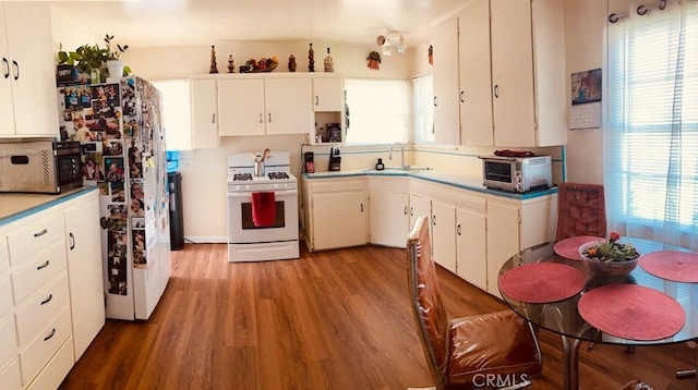 5214 Golden Ave, Riverside, CA 92505 - kitchen featuring light wood-type flooring, a sink, a healthy amount of sunlight, and white appliances