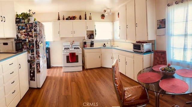 5214 Golden Ave, Riverside, CA 92505 - kitchen featuring white appliances, plenty of natural light, a sink, and light wood-style flooring