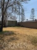 5214 Golden Ave, Riverside, CA 92505 - view of yard