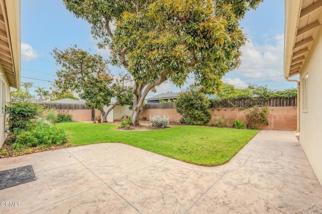 view of yard featuring a patio and a fenced backyard
