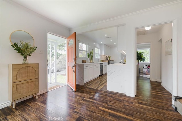 interior space featuring crown molding, baseboards, and dark wood finished floors