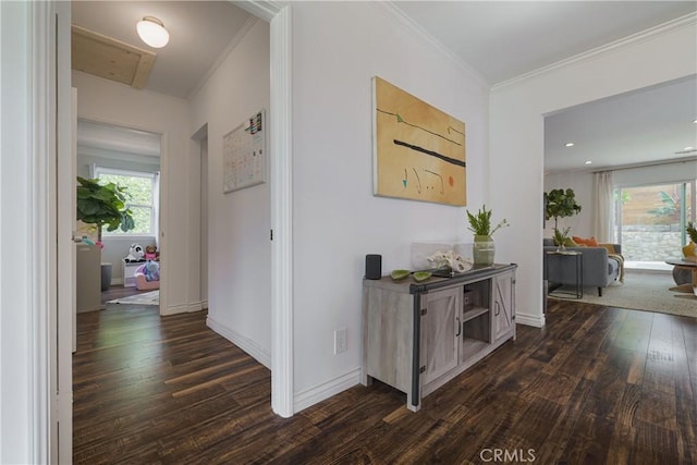 hall featuring crown molding, baseboards, and dark wood finished floors
