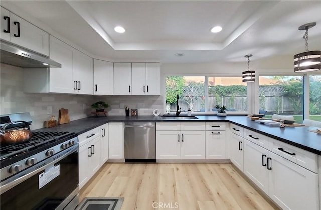 1427 N Cannon St, Orange, CA 92869 - kitchen featuring dark countertops, a sink, a raised ceiling, under cabinet range hood, and stainless steel appliances