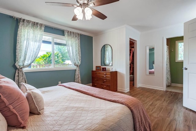 bedroom with ceiling fan, wood finished floors, a closet, a spacious closet, and ornamental molding