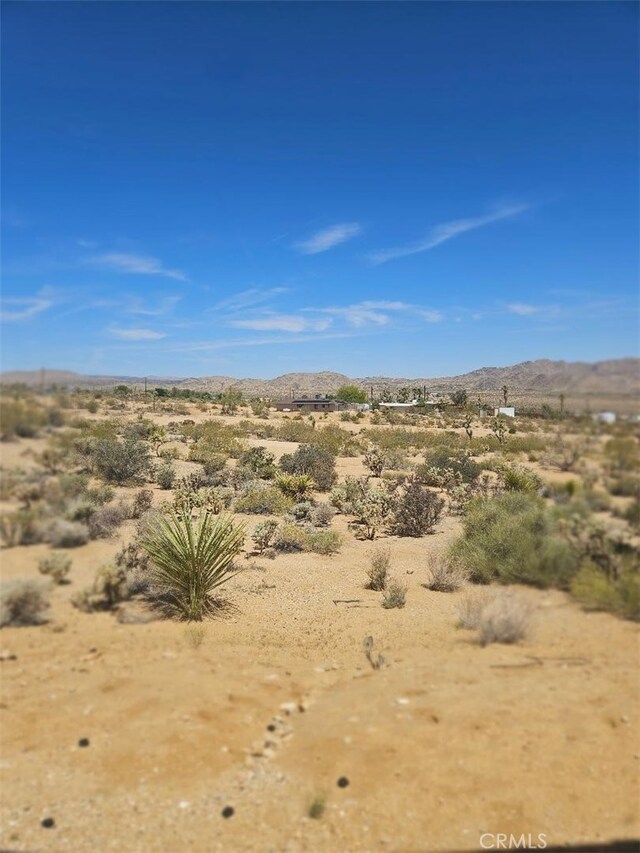 61391 Alta Vista Dr, Joshua Tree, CA 92252 - view of mountain background featuring a desert landscape and rural landscape