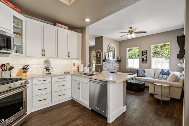 kitchen with a sink, a peninsula, open floor plan, a ceiling fan, and stainless steel appliances
