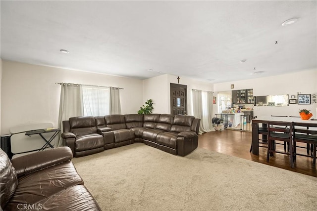 living room featuring carpet floors and wood finished floors