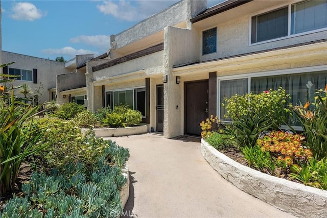 doorway to property featuring stucco siding