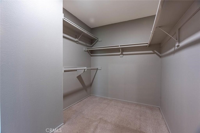 spacious closet with carpet flooring