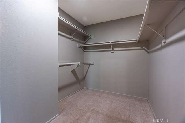 4321 Matilija Ave Unit 14, Sherman Oaks, CA 91423 - walk in closet with carpet