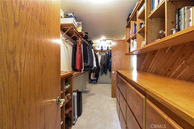 spacious closet featuring light carpet