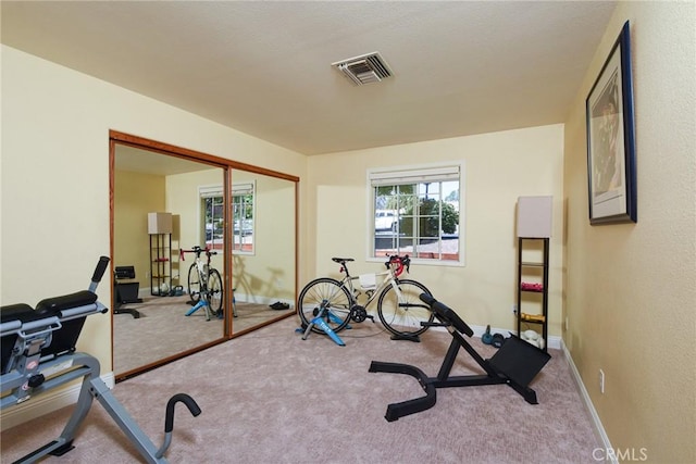 workout room featuring carpet flooring, healthy amount of natural light, and baseboards