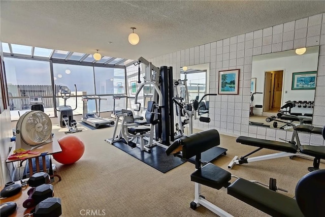 531 Esplanade Unit 714, Redondo Beach, CA 90277 - exercise room featuring a textured ceiling and carpet flooring