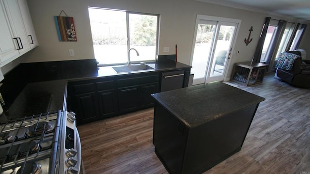 42944 Calle Reva, Temecula, CA 92592 - kitchen featuring a sink, stainless steel dishwasher, wood finished floors, crown molding, and dark countertops