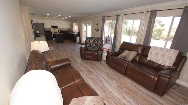 42944 Calle Reva, Temecula, CA 92592 - living room featuring light wood-style flooring and ornamental molding