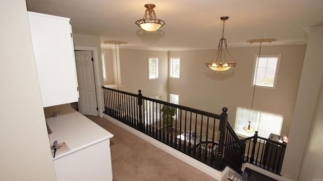 42944 Calle Reva, Temecula, CA 92592 - hall featuring an upstairs landing, carpet, ornamental molding, and healthy amount of natural light