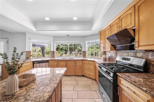kitchen featuring stainless steel appliances, a tray ceiling, a sink, range hood, and ornamental molding