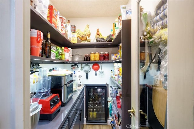 pantry with wine cooler
