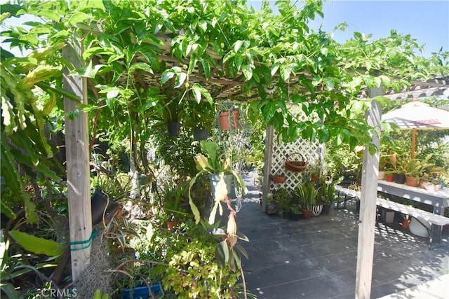 11331 Chapman Ave, Garden Grove, CA 92840 - view of patio / terrace
