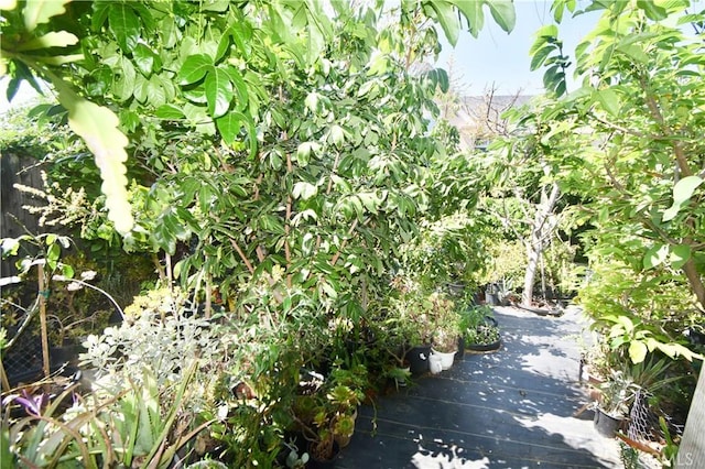 11331 Chapman Ave, Garden Grove, CA 92840 - view of community