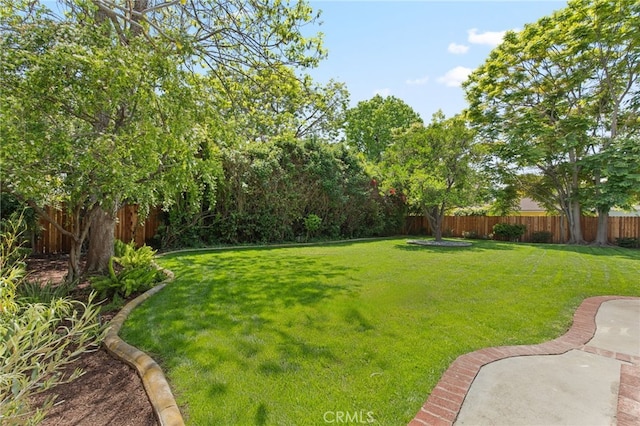 view of yard with a fenced backyard