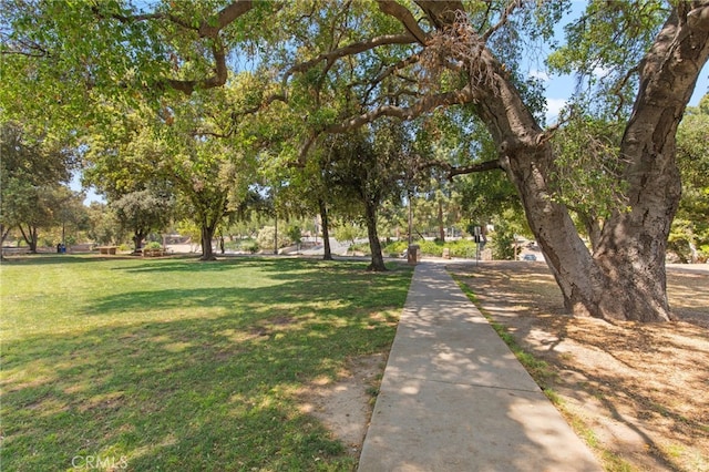 view of property's community featuring a lawn