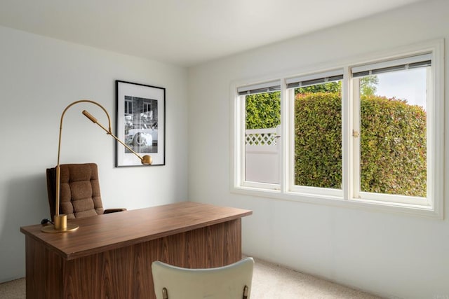 office space with carpet
