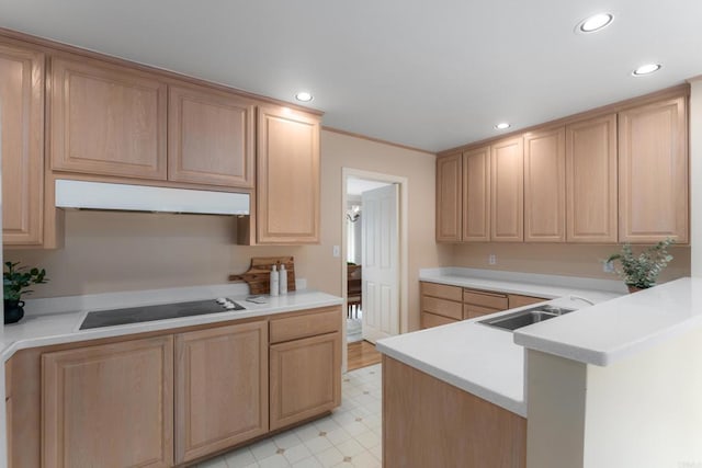kitchen with a sink, black electric stovetop, light floors, light brown cabinets, and under cabinet range hood
