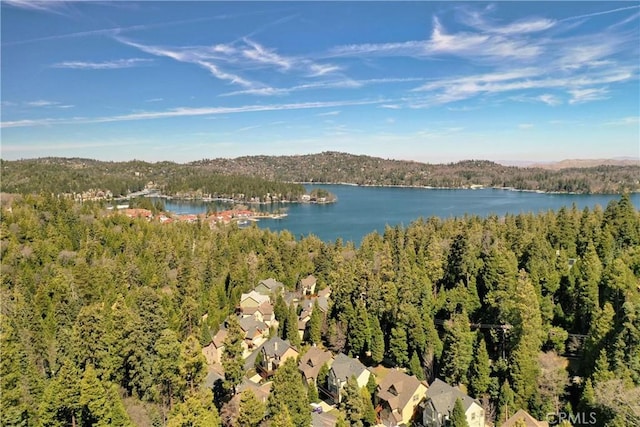 property view of water with a view of trees