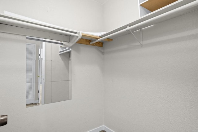 view of walk in closet