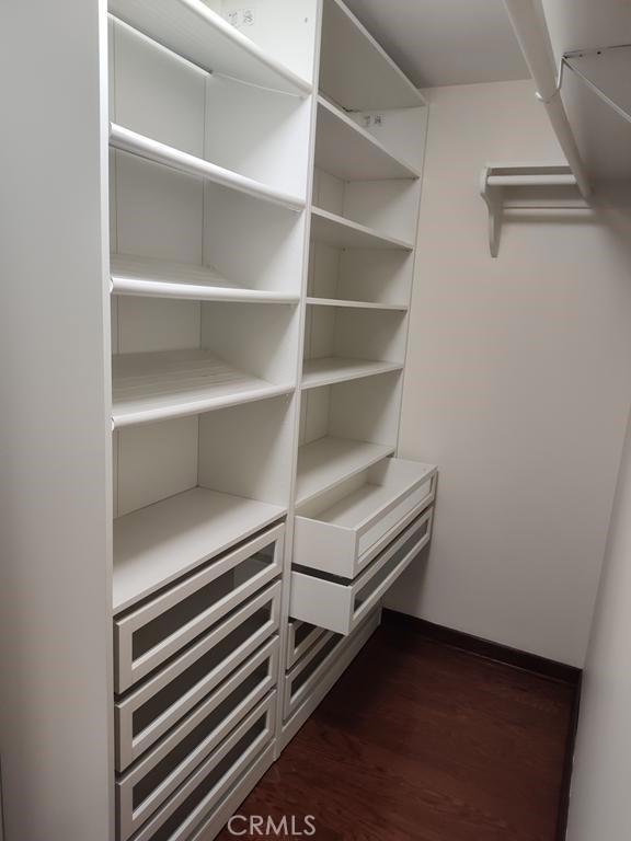 spacious closet featuring dark wood-style floors